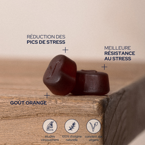 Epycure Anti-stress gummies 60 vegan gummies