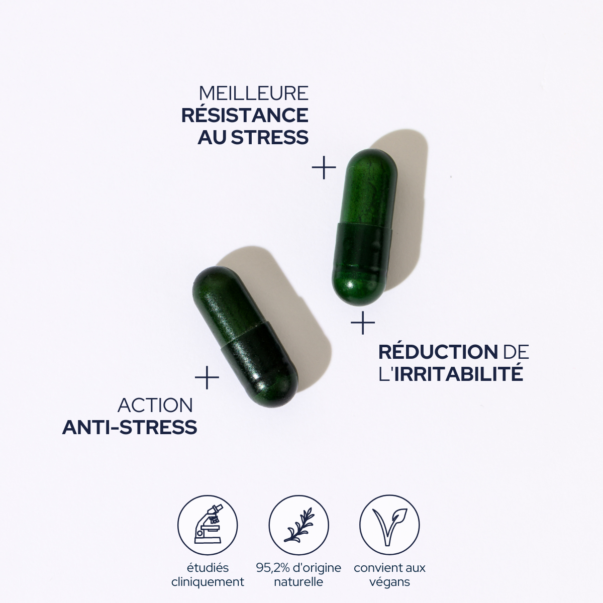 Epycure Anti-stress cure 60 vegetarian capsules