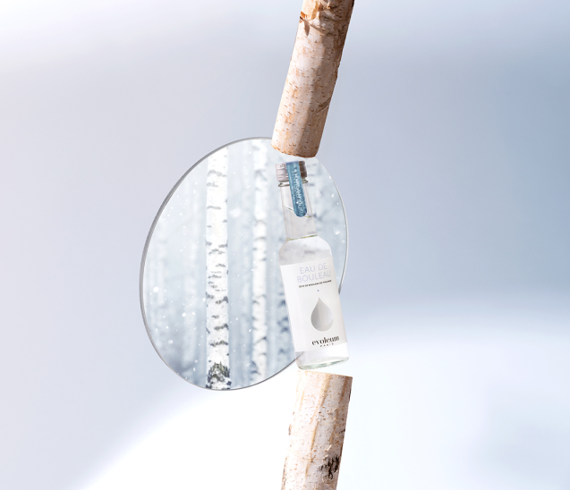 Evoleum Birch water 12x200ml